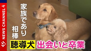 【引退】聴導犬・出会えた奇跡と新たな門出＜NEWS CH.4＞