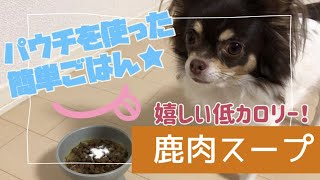 【手作り犬ごはん記録】犬用の鹿肉パウチを使った簡単スープ／食べる音／咀嚼音【チワワのチロ】Make dog food