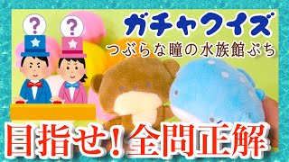 最終問題レベチ！全問正解できる？【ガチャガチャクイズ】つぶらな瞳の水族館 ぷち ガチャ 新作 ガチャガチャの森 Capsule toys