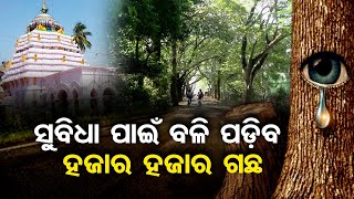 ଚକାଚକ୍ ଦେଖାଯିବ ସିନାଯିବାକୁ କଷ୍ଟ ହେବ | Odisha Reporter