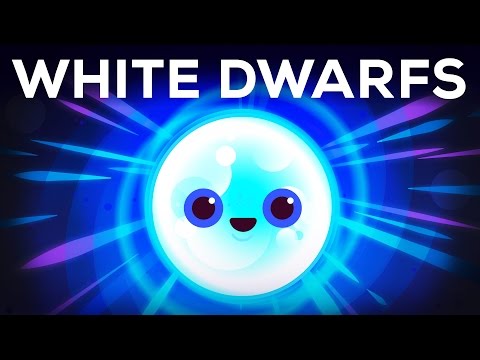 What is white and black all over?