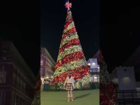 Christmas Lights Make Spirits Bright! 🎄 - YouTube