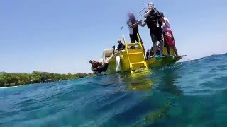 Diving Paraiso \u0026 Big Rock - Utila