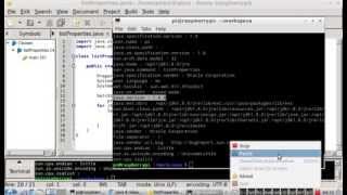 Check System Properties using Java, run on Raspberry Pi.