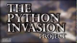 The Python Invasion Project: Swimming with gators to hunt pythons