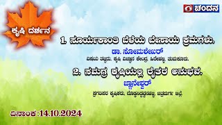 Krishi Darshana | ಸೂರ್ಯಕಾಂತಿ ಬೆಳೆಯ ಬೇಸಾಯ ಕ್ರಮಗಳು | 14.10.2024 | 6 PM | DD Chandana