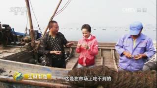 20161010 生财有道  生态中国系列（沿海行）——志在海洋生财的于志洋