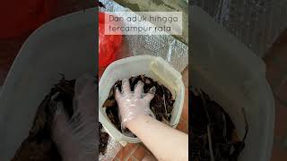 Cara membuat kompos dari daun kering