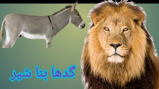 گدھا بنا شیر|Urdu kahania|اردو کہانیاں