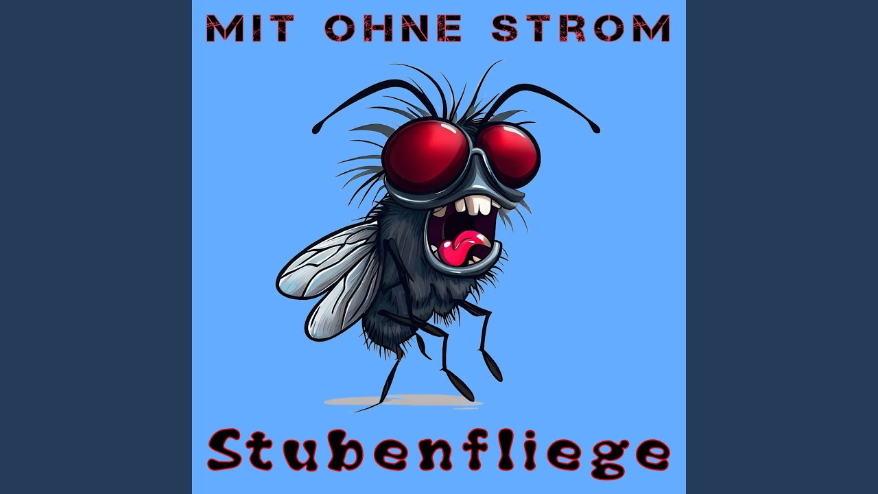 Stubenfliege Youtube