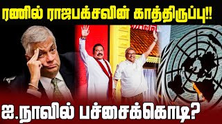 ரணில் ராஜபக்சவின் காத்திருப்பு! ஐ.நாவில் பச்சைக்கொடி! | Geneva | Ranil | Rajapaksa