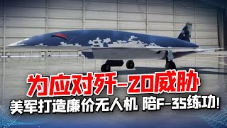 應對殲-20威脅？美軍為F-35打造“怒火”無人機， 陪其練功，中國需警惕！【一號哨所】