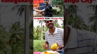 കേരളത്തിന്റെ സ്വന്തം  മാംഗോ സിറ്റി 🥭||Muthalamada 'mango city' of Kerala || #shorts #shortsfeed