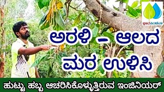 ಅರಳಿ - ಆಲದ ಮರ ಉಳಿಸಿ ಹುಟ್ಟು ಹಬ್ಬ ಆಚರಿಸಿಕೊಳ್ಳುತ್ತಿರುವ ಇಂಜಿನಿಯರ್ | Save Plantation |  Environment