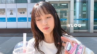 (Eng) korean couple vlog. making curry, brownie