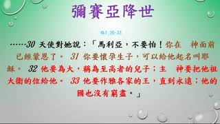 路加福音   07    路1章 26- 37 節    天使加百列給馬利亞報訊 彌賽亞降世        盧聲揚  DAVID  聖經分享    20190124