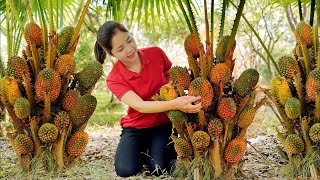 Harvest Tropical Pineapple - the rarest species in Vietnam Goes to market sell - Mowing the garden