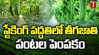 స్టేకింగ్ పద్దతిలో తీగజాతి పంటల పెంపకం|Vertical Farming Techniques|Vegetable Cultivation|RythuBandhu