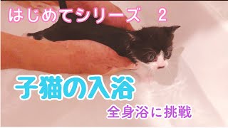 【#3】ハチワレ子猫、初めての全身浴！【生後1ヵ月】