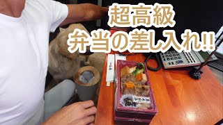 超高級なお弁当の差し入れに舌鼓をうつ。ゴールデンレトリバーティト。goldenretriever