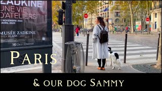 Paris vlog - train travel with our dog 🐾 🐶- one morning by the Eiffel Tower