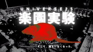 【衝撃の結末】ネズミの楽園実験がヤバい！？UNIVERSE25をゆっくり解説