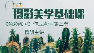 摄影美学基础课-杨明主讲《色彩练习》作业点评 第三节