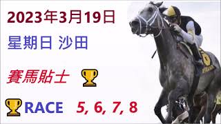 🏆Hong Kong Derby 2023「賽馬貼士」🐴2023年 3 月 19 日💰星期日 😁沙田💪 HONG KONG HORSE RACING TIPS🏆 RACE  5  6  7  8  😁