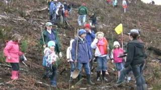 SFI Tree Plant Day 2011