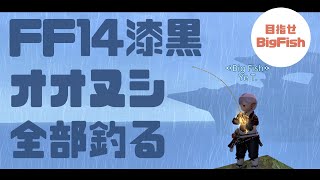 【FF14漁師】漆黒オオヌシ「6匹」全部釣り上げる【称号BigFish】