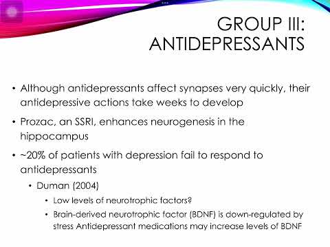 Introduction To Neuroscience: Psychopharmacology (Antidepressants And ...