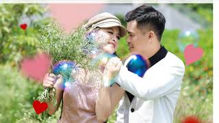 Ngoc Hai   Bich Phuong