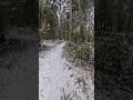 winter bicycling in the snowy forest