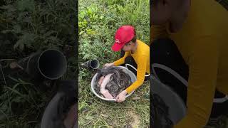 Unbelievable oil fishing technique with primitive survival skills of catching big fish 😂