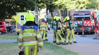 TVEllef: Huisdieren omgekomen bij brand Geleen