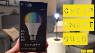 15$ for a COLORED SMART LED Bulb by Minger