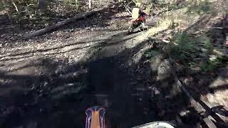 MSXC Cub Mountain Harescramble 2024