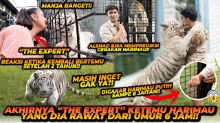 DIRAWAT DARI UMUR 6 JAM ! BEGINI REAKSI HARIMAU PUTIH KE PERAWATNYA SETELAH TIDAK BERTEMU 2 TAHUN !