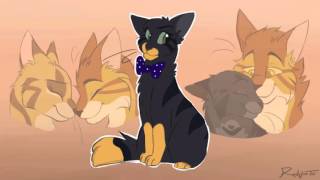 Lionblaze Couples Rant