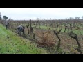 Tirage de bois au Chateau Ladesvignes / Winter work at Chateau Ladesvignes