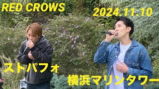 RED CROWS 2024.11.10 StreetPerFormerBoxin 横浜マリンタワー＃レックロ#redcrows#路上ライブ＃オリジナル曲#みなとみらい＃田鳥大嗣＃鳥飼優太