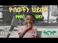 ቤተሰቡን ሚልየነር ያረገው ህጻን | ትርጉም ፊልም በአማረኛ @tsegutube