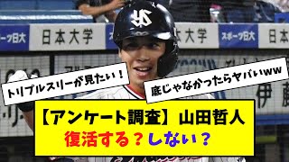 【復活確率○○％！！】来季、山田哲人は復活するのかアンケートをした結果…【ヤクルトスワローズ】【ゆっくり】