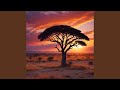 african sounds