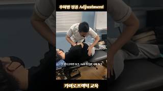 카이로프랙틱 후하방장골 교육 Pelvic PI Adjustment #카이로프랙틱 #chiropractic #pelvicadjustment