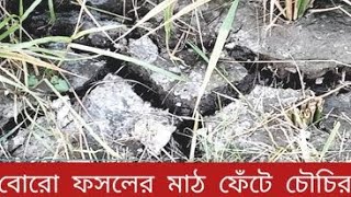 টানা অনাবৃষ্টি আর দাবদাহে রোরো চাষীরা হতাশ