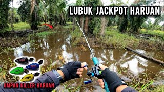 CASTING HARUAN | TERJAH SPOT ANTI KUMPAW | SHIMANO SLX151HG | VLOG555