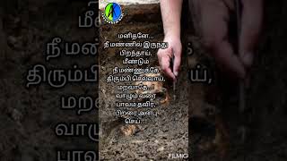 சாம்பல் புதன்😇 #ash Wednesday # truth of life #சாம்பல் புதனின் மறைபொருள் #hidden meaning of Ash wed