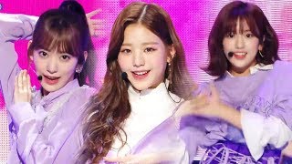 [HOT] IZ*ONE - La Vie en Rose ,  아이즈원 - 라비앙로즈 Show Music core 20181117