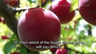 Surah Rahman 55th Chapter of the Holy Quran